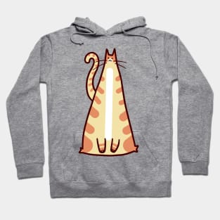 Triangle Tabby Cat Hoodie